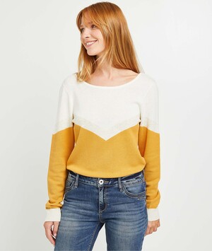 Pull tricot fantaisie color block femme SAFRAN