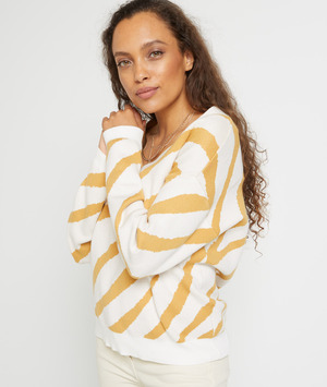 Pull imprimé zèbre femme BLANC