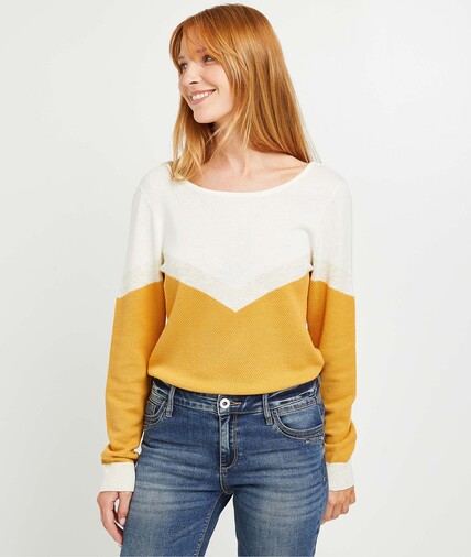 Pull tricot fantaisie color block femme SAFRAN